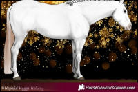 Horse Color:Black Sabino Appaloosa 