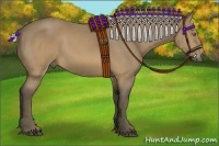 Horse Color:Silver Buckskin Sabino