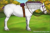 Horse Color:Chestnut Sabino