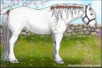 Horse Color:White Spotted Brown 