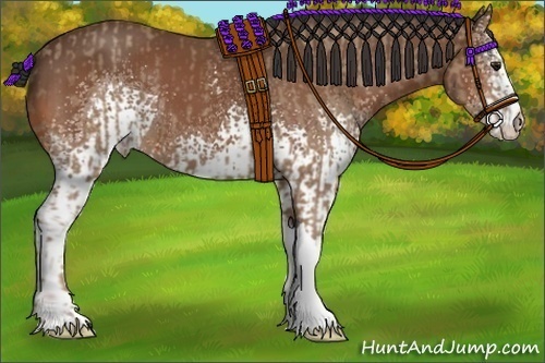 Horse Color:Classic Champagne  and White Spotted Bay 