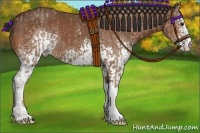 Horse Color:Classic Champagne  and White Spotted Bay 