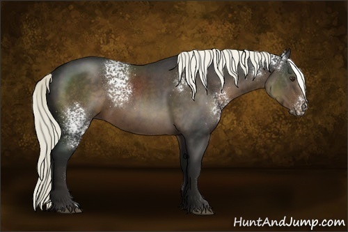 Horse Color:White Spotted Liver Chestnut 