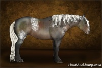 Horse Color:White Spotted Liver Chestnut 