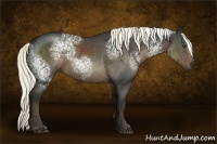 Horse Color:White Spotted Liver Chestnut Rabicano 