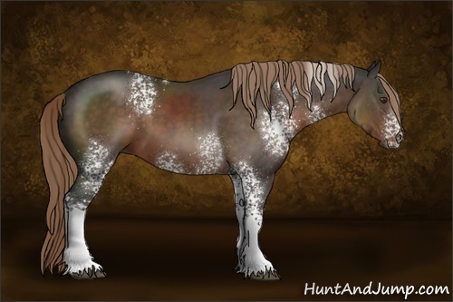 Horse Color:White Spotted Liver Chestnut Rabicano 