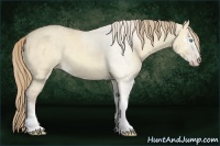 Horse Color:Chocolate Perlino Dun Sabino