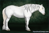 Horse Color:Chocolate Perlino Dun Sabino 