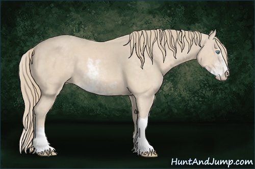 Horse Color:Perlino Sabino 