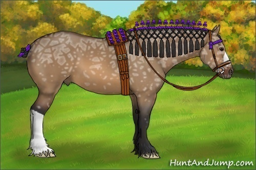 Horse Color:Bay Ice Dun