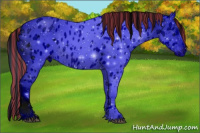 Horse Color:ERROR: UNKNOWN ANOMALY