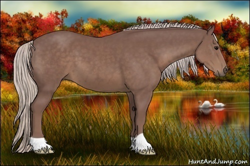 Horse Color:Chocolate Silver Black 