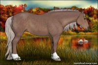 Horse Color:Chocolate Silver Black 