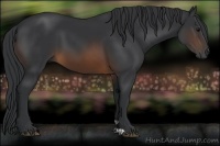 Horse Color:Brown 