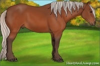 Horse Color:Silver Brown 