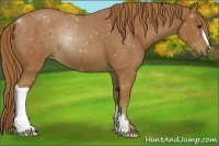 Horse Color:Watercolor Chestnut 