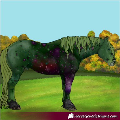 Horse Color:ERROR: UNKNOWN ANOMALY