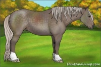 Horse Color:Silver Black 