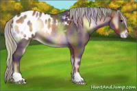 Horse Color:Nacre Silver Brown Onyx Appaloosa 