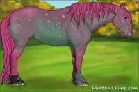 Horse Color:ERROR: UNKNOWN ANOMALY