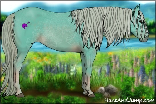 Horse Color:Watercolor Chocolate Palomino 