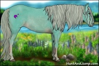 Horse Color:Watercolor Chocolate Palomino 