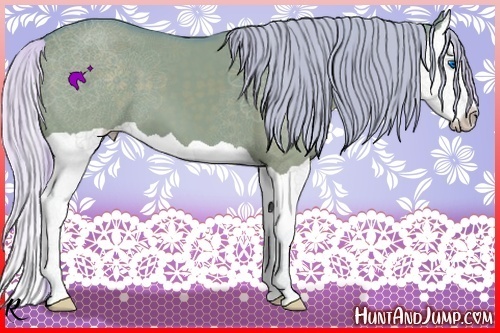 Horse Color:Watercolor Silver Grullo Splash 