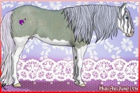 Horse Color:Watercolor Silver Grullo Splash 