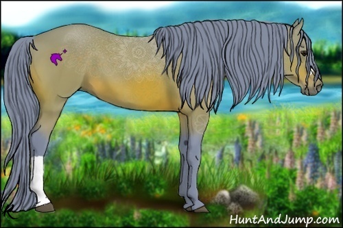 Horse Color:Watercolor Bay