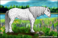Horse Color:Blue Roan Snowflake Varnish