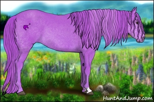 Horse Color:Watercolor Chestnut 