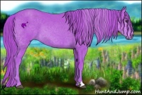 Horse Color:Watercolor Chestnut 