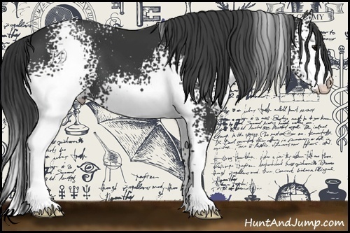 Horse Color:White Spotted Black 