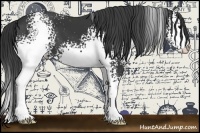 Horse Color:White Spotted Black 