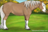 Horse Color:Palomino Splash 
