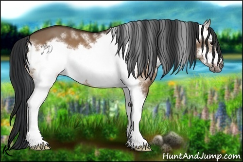 Horse Color:White Spotted Bay Dun Frame 
