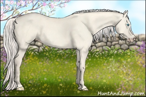 Horse Color:Cremello Dun 