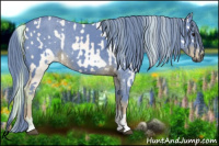 Horse Color:Gray Watercolor Bay Dun  and Gray Watercolor Chestnut 
