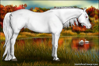 Horse Color:Liver Chestnut Chinchilla Appaloosa 