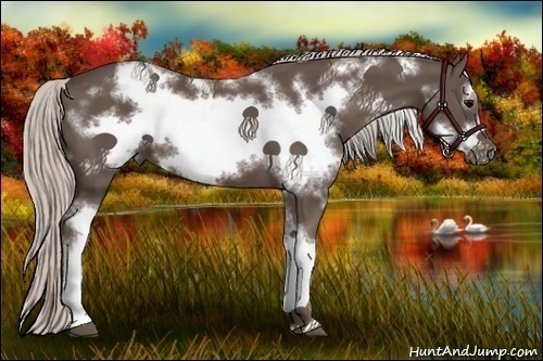 Horse Color:White Spotted Silver Black Frame