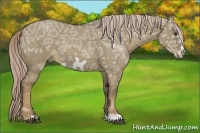 Horse Color:Chocolate Palomino Ice Roan Dun Frame