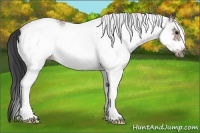 Horse Color:White Spotted Bay Ice Roan Frame