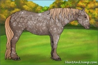 Horse Color:Liver Chestnut Ice 