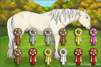 Horse Color:Silver Amber Cream Champagne Dun Varnish 