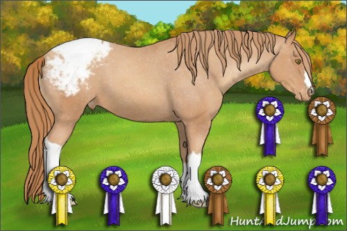 Horse Color:Gold Champagne Snowcap