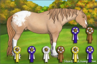 Horse Color:Gold Champagne Snowcap
