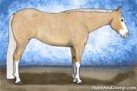 Horse Color:Silver Buckskin Roan Splash