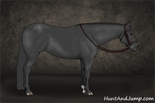 Horse Color:Smoky Black 