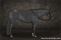 Horse Color:Smoky Black