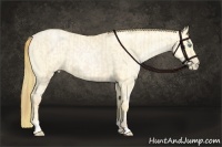 Horse Color:Buckskin Roan Pearl and Buckskin Roan Pearl